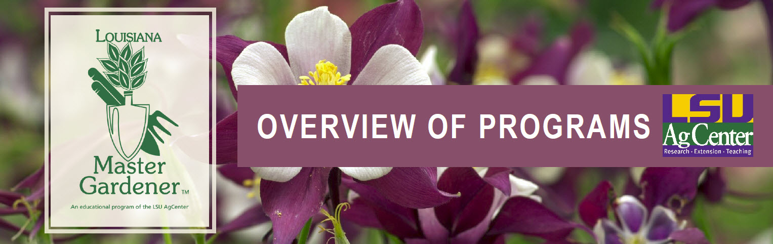 Overview of Programs – Ascension Parish
